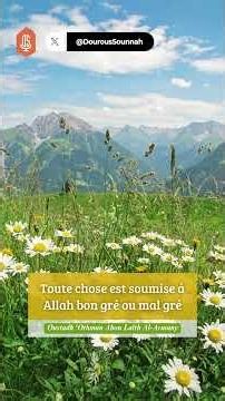 Everything Is Submissive to Allah Whether They Like It or Not / Oustadh Abou Laïth 'Othmãn Al-Armany