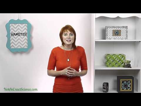 Hamster in Baby Sign Language, ASL