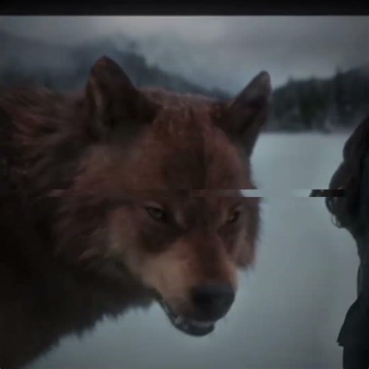 Jacob human VS Jacob wolf🔥 #twilight #werewolves #teamjacob