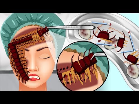 Centipede ASMR Animation | Oddly Satisfying & Relaxing Sounds