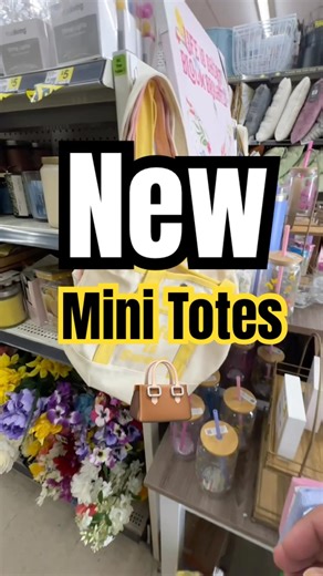 Spotted at Dollar General ✨🚨 #trending #minitote #shortsvideo #shortvideo
