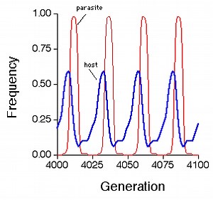 Red Queen hypothesis - Alchetron, The Free Social Encyclopedia
