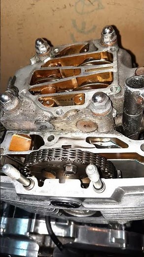 Honda shadow vt750 1983, first steps of engine tear down the easy bit .