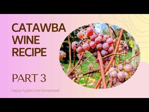 Catawba Grape Wine Recipe | Part 3