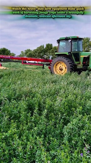 Efficient Forage Harvesting Using Powerful Modern Farming Equipment