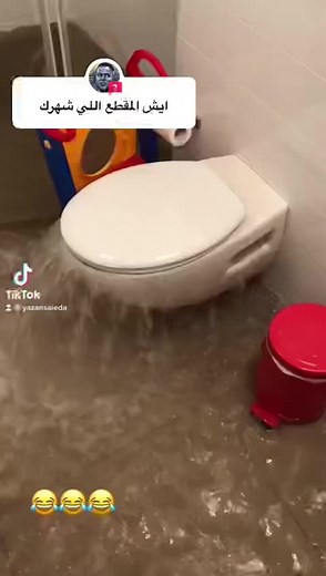 Broken Toilet Causes Flooding in Bathroom
