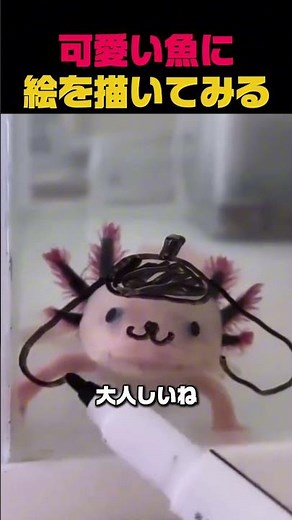 Let's try drawing on a cute fish.