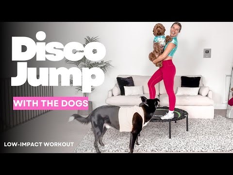 15 Minute Mini Trampoline Workout | Fun Disco Cardio (All Levels)