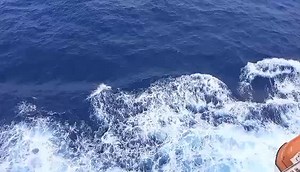 10K views · 510 reactions | Can you see the Dolphins? Video by Cruise line vlog with JS, Facebook page of our friend J J Jasim. | Carnival Cruise Line Miami Blog | Facebook