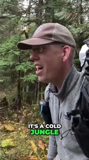 Alaska's Cold Jungle: Temperate Rainforest Adventure! #shorts