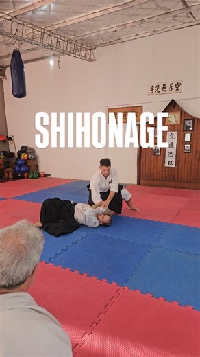 230 reactions · 11 shares | Shihonage | Aikido San Luis | Facebook