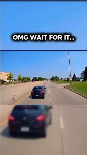 When its free TAKE IT 😂 #funny #lol #comedy