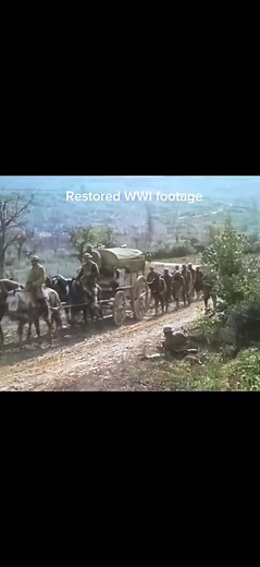 Battle Cut Edits on TikTok