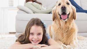 Animation of cute labrador pet dog with happy caucasian family | Premium Stock Video Footage