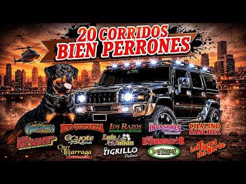 🔥 Corridos Perrones Mix Pa' Pistear 💣 Tucanes De Tijuana , Grupo Exterminador , Los Razos .......