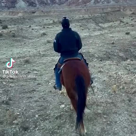 broncs_and_donks (@broncs_and_doncs)’s videos with original sound - broncs_and_donks