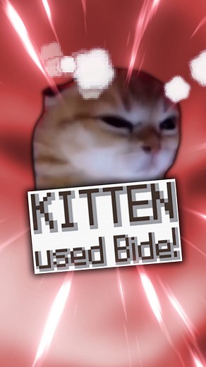 Kitten used Bide! 😡 #pokemon #pokememes #pokemonmeme #pokemonbattle #pokemonedit #catmemes #gamingmemes #nintendomemes #nintendods #nostalgia #pokemongo #funnycats (Diamond and Pearl HP bars sprites ripped by Space Guard, Textbox sprites ripped by Lakilester 86) | Benjaminscabin