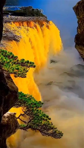 The Golden Waterfall is a sight that takes your breath away! As the water cascades down with magnificent power, it's like nature's own masterpiece. Come and witness this stunning wonder! #GoldenWaterfall #NatureBeauty.