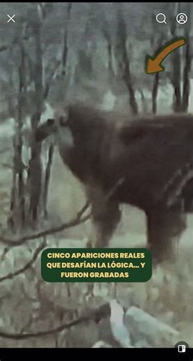 Misterios del Mundo: Encuentros Inexplicables