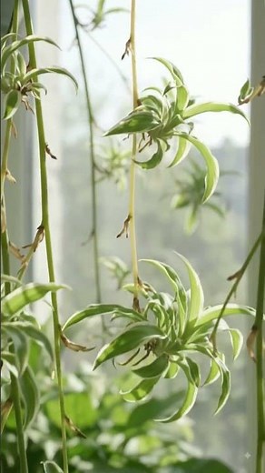 🌱 Amazing Indoor Garden Ideas You Must See!#trending #viral