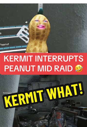 Peanut was locked in when Kermit had to interrupt 😭 bungulator what is he talking about ! 🎬twitch.tv/theburntpeanut @theburntpeanut #theburntpeanutclip #theburntpeanut #theburntpeanutclips #fyp #peanut
