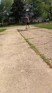 30K views · 695 reactions | Oddly satisfying cleaning these weeds #overgrown #oddlysatisfying #satisfying #asmr | Outdoors with Erik | Facebook