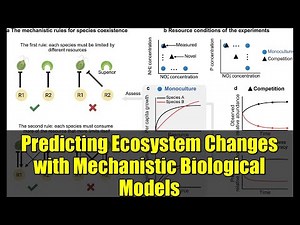 Predicting Ecosystem Changes with Mechanistic Biological Models | Climate & Ecology Insights