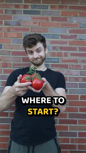 The EASIEST Way to Grow Tomatoes at Home 🍅