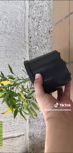 Riego automático casero fácil para tus plantas