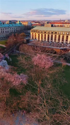 Manchmal sieht man Dinge erst aus einer anderen Perspektive ☀️ Ein Blick von oben über die Elbe, das Japanische Palais, die ersten Kirschblüten…und dieser Canaletto Blick, der einfach nie langweilig wird🌸 Und mittendrin das Bilderberg Bellevue, genau da wo sich Dresden von seiner schönsten Seite zeigt✨#dresden #view #spring #theplacetobe