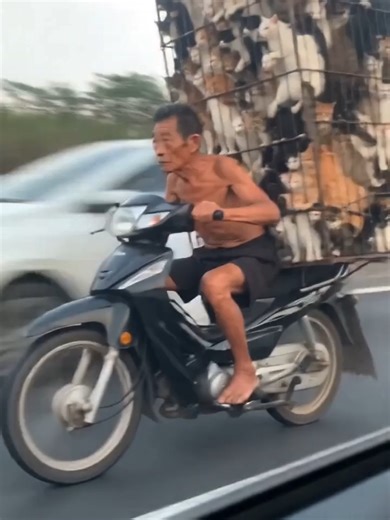 Call Me Maybe Music Video