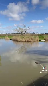 1.1K reactions · 138 shares |  Discover Your Perfect 2024 Retreat at...