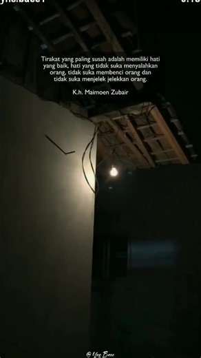luvi luvi on TikTok