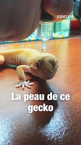 Science & Vie on Reels