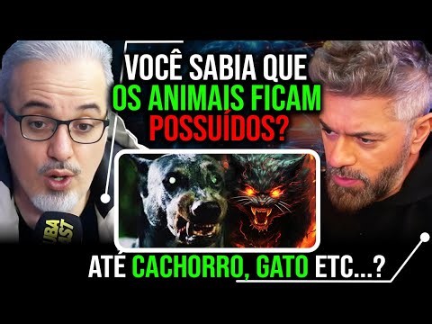 The animals become possessed! I'll explain how... on Intelligence Ltd.