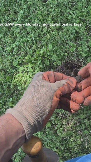 Found a FOLDED QUARTER while metal detecting #metaldetecting #treasure #shorts
