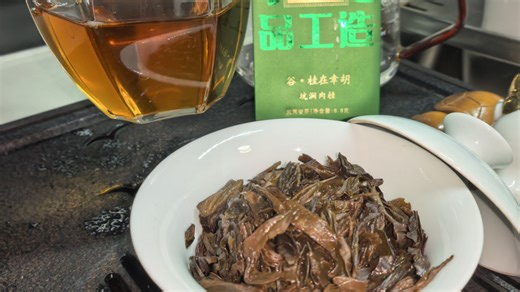 慢谷春-坑涧肉桂！不错！