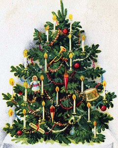 Queen Charlotte's Christmas Tree ~ O Tannenbaum - Sharon Lathan, Novelist