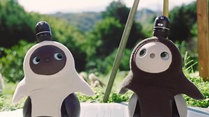 Lovot – Il robot da compagnia - RSI