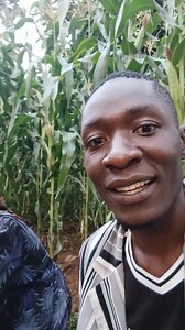 30K views · 2.6K reactions | Tuko introduction  | Omfyeki comedian | Facebook