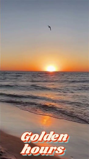 Sunset Beach 🏖 #shorts
