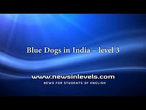 Blue Dogs in India – level 3 - News in Levels