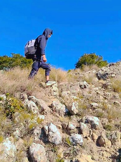 Nueva Canción de Alan Walker 2025: Música Triste