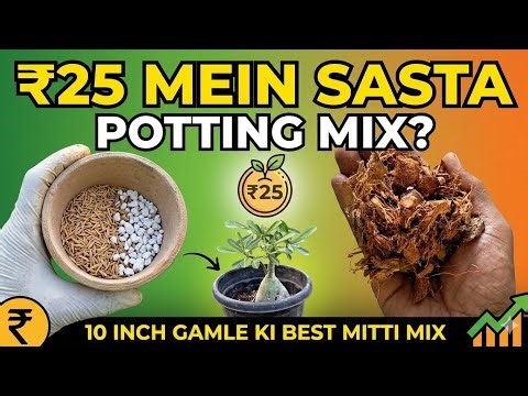 ₹25 Mein Sasta Potting Mix Kaise Banaye? | 10 Inch Gamle Ki Best Mitti Mix