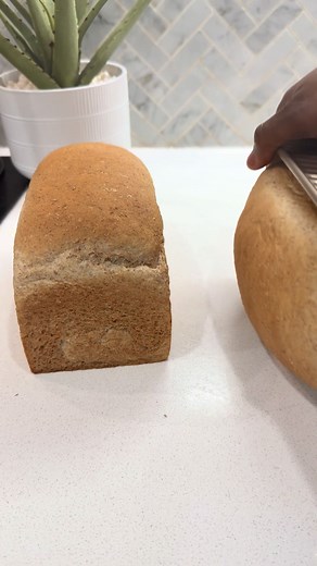 Easy Whole Wheat Bread Recipe