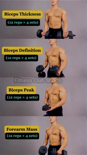 Ultimate Dumbbell Arm Workout (Biceps + Forearms)#ArmWorkout #BicepsWorkout #shorts #gymmotivation