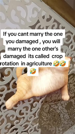Crop Rotation in Relationships Explained