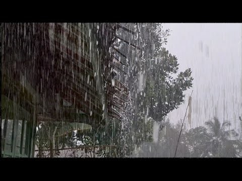 The Most Powerful Rain Sounds 🌧️ | Millions of People Instant Sleep”