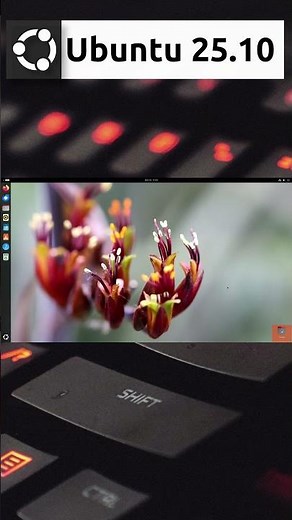 Ubuntu 25.10 Questing Quokka Quick Overview