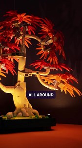 6.2K views · 20 reactions | Transform your LEGO® Japanese Red Maple Bonsai into a glowing symbol of autumn serenity  This DIY Light Kit bathes the vibrant red and amber leaves in warm LEDs, highlights the elegant pot, and casts ambient shadows that elevate every curve. | Light My Bricks | Facebook
